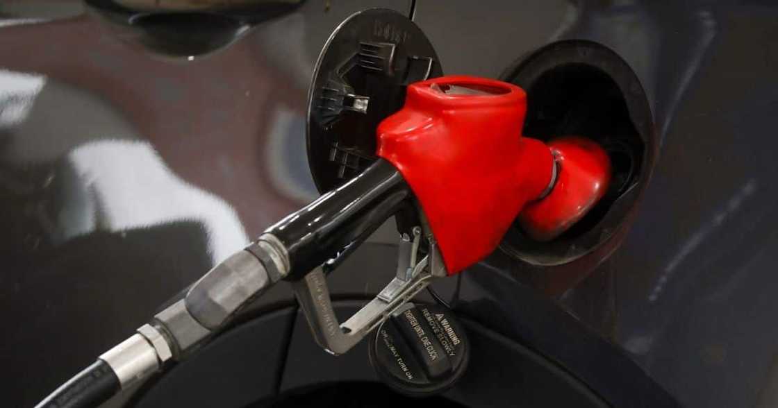 Fuel price, economists, South Africa, global energy crisis Fuel price, economists, South Africa, global energy crisis