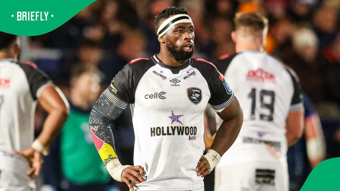 Siya Kolisi, Sharks, Springboks, URC Siya Kolisi, Sharks, Springboks, URC
