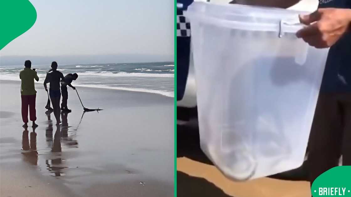 A clip went viral in November.