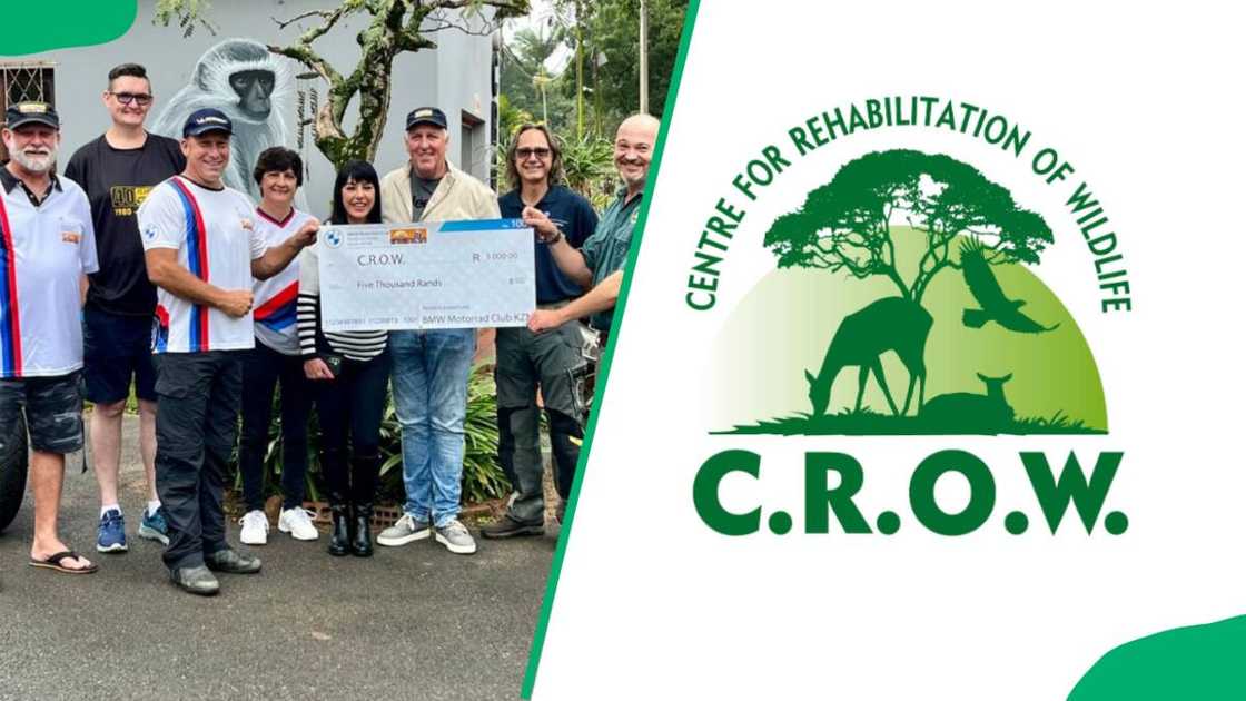 volunteer organizations in South Africa volunteer organizations in South Africa