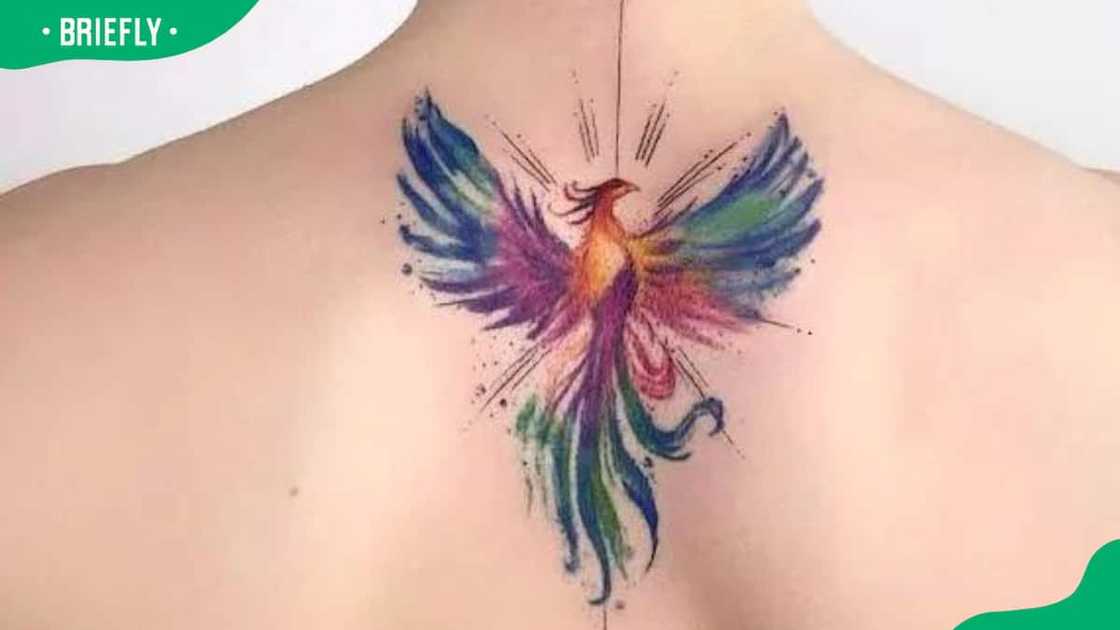 Radiating phoenix tattoo Radiating phoenix tattoo