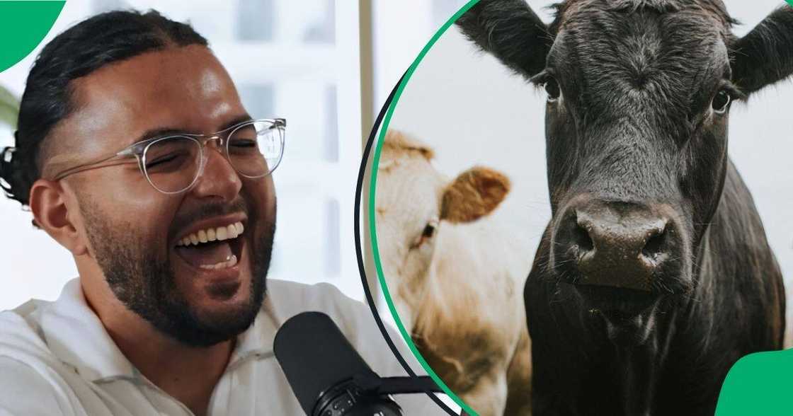 An American tourist shared how she bought a wife in Africa for five cows. An American tourist shared how she bought a wife in Africa for five cows.
