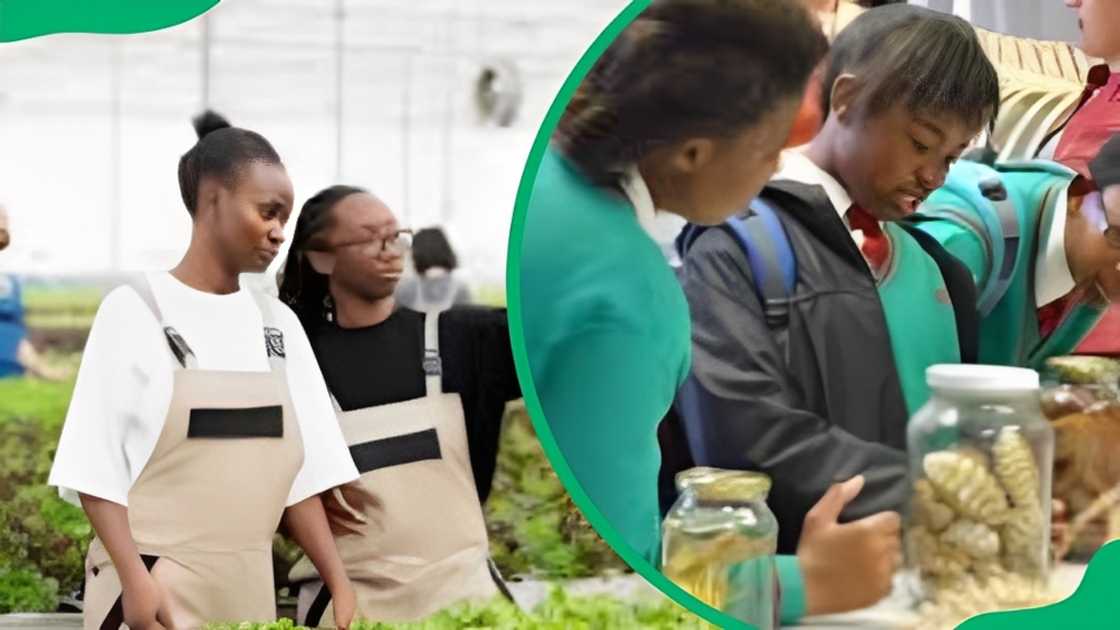 UNISA agricultural and environmental sciences students UNISA agricultural and environmental sciences students