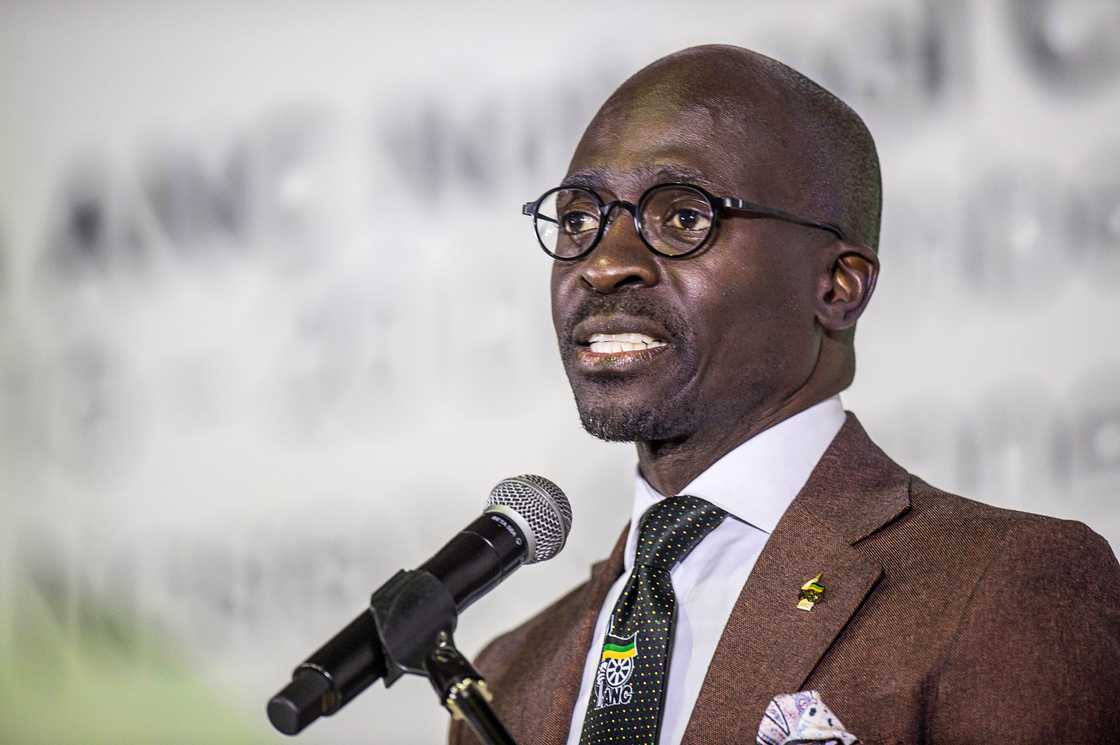 Malusi Gigaba curtly responded to Casrl Niehaus's criticism and calls for him to be removed as the co-chair of the Joint Standing Committee on Defence Malusi Gigaba curtly responded to Casrl Niehaus's criticism and calls for him to be removed as the co-chair of the Joint Standing Committee on Defence