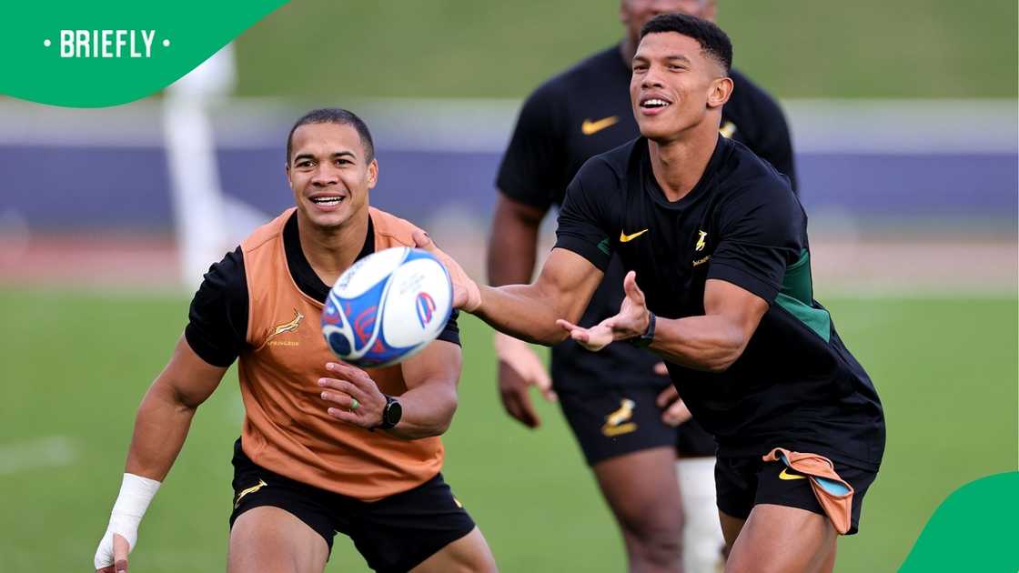 Cheslin Kolbe and Kurt-Lee Arendse are both regulars for the Springboks. Cheslin Kolbe and Kurt-Lee Arendse are both regulars for the Springboks.