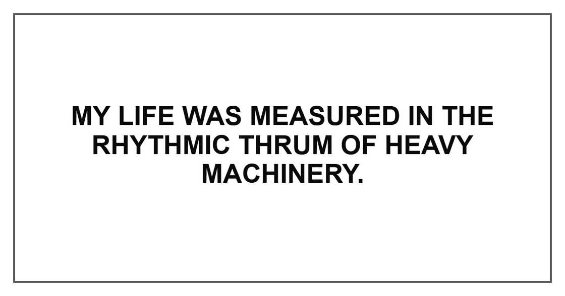 My life was measured in the rhythmic thrum of heavy machinery.