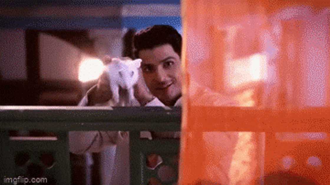 Blue Venom Girl Teasers Blue Venom Girl Teasers