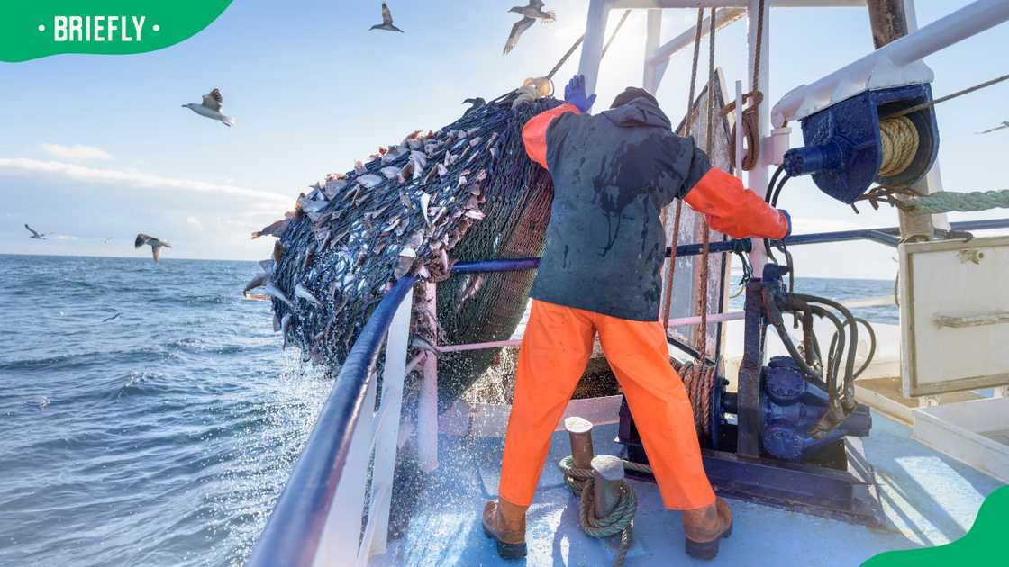 Commercial fishing risks