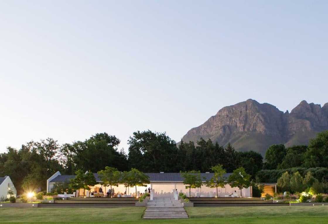 15 breathtaking forest wedding venues Cape Town