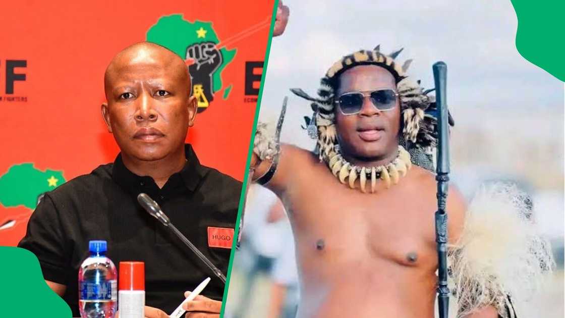 Ngizwe Mchunu responds to Julius Malema