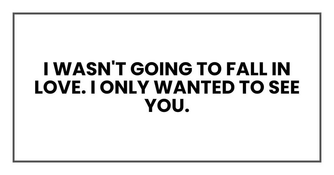 I wasn't going to fall in love. I only wanted to see you. I wasn't going to fall in love. I only wanted to see you.