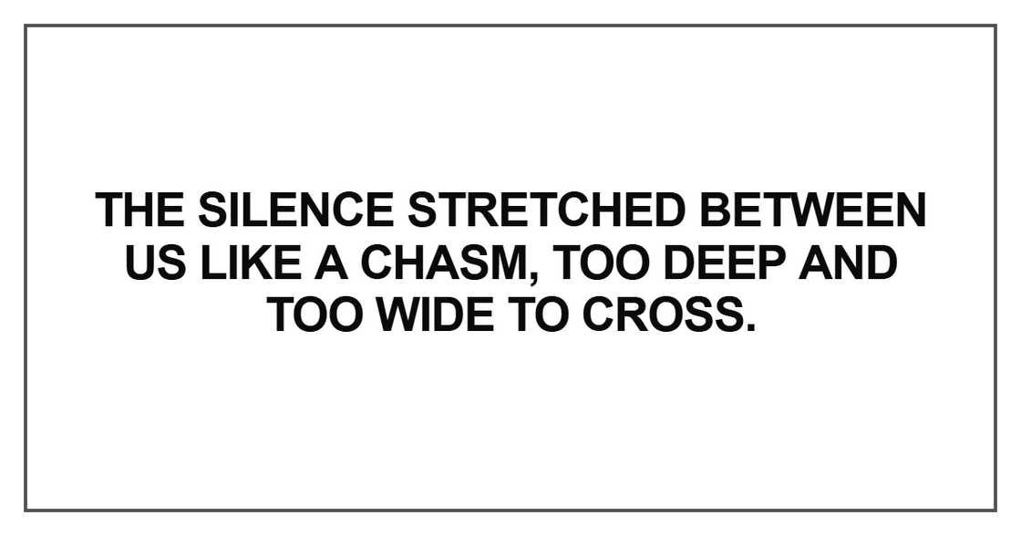 The silence stretched between us