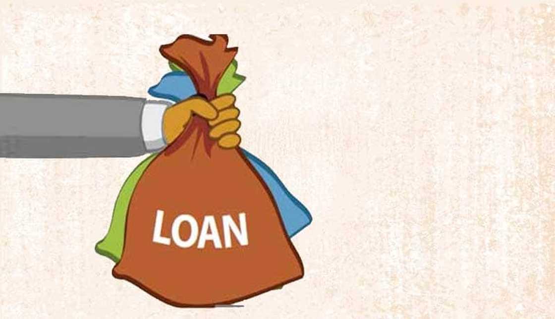 loans SA loans SA