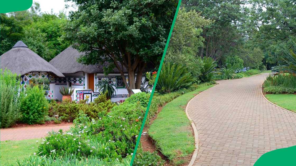 The Pretoria National Botanical Garden The Pretoria National Botanical Garden