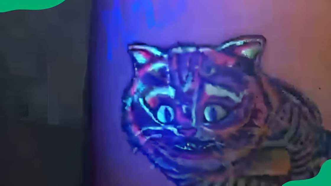 Fairy lights cat Fairy lights cat