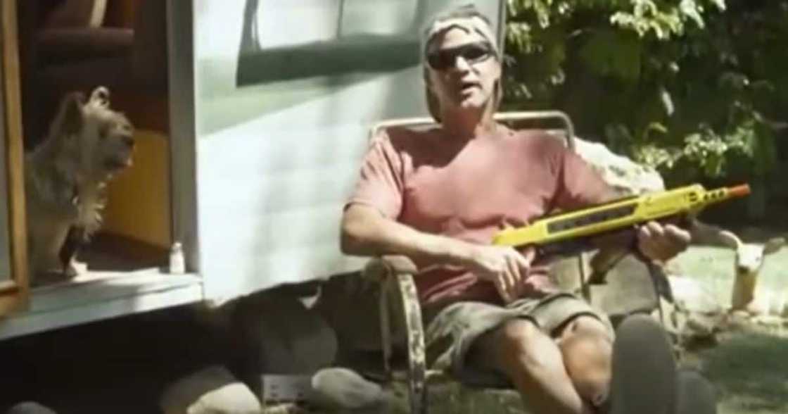 salt, gun, rifle, man, dog, flies, critters, millions, public, pests salt, gun, rifle, man, dog, flies, critters, millions, public, pests