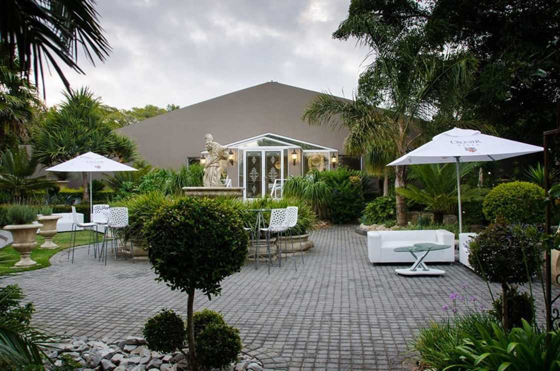 venues in port elizabeth venues in port elizabeth