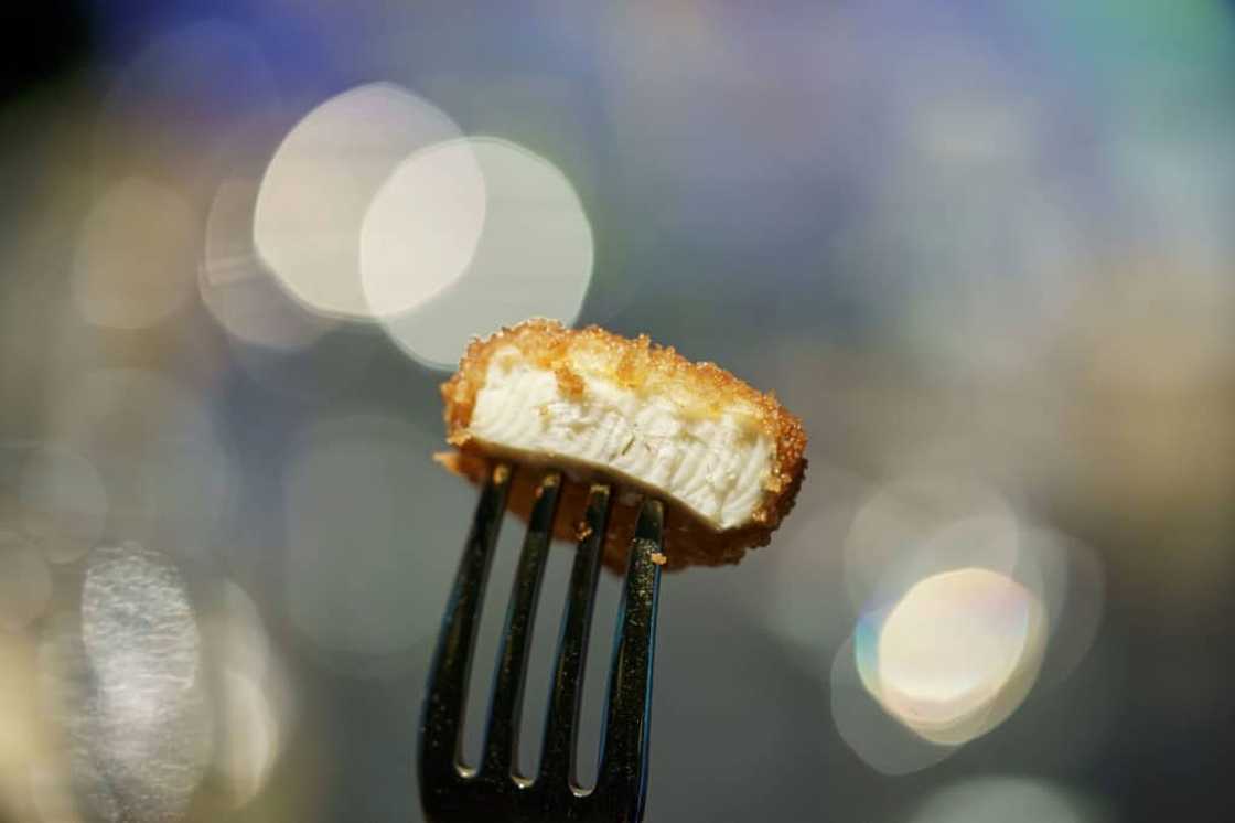 A nugget made from lab-grown chicken meat is seen during a media presentation in December 2020 in Singapore, the first country to allow the sale of such products A nugget made from lab-grown chicken meat is seen during a media presentation in December 2020 in Singapore, the first country to allow the sale of such products