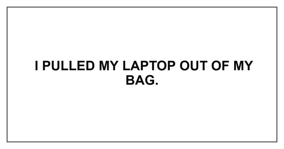 I pulled my laptop out of my bag.