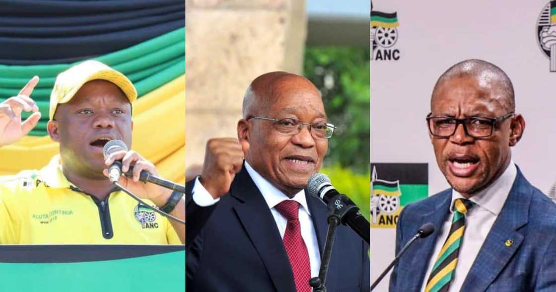 KZN Premier Sihle Zikalala and Magashule throw their weight behind Jacob Zuma KZN Premier Sihle Zikalala and Magashule throw their weight behind Jacob Zuma