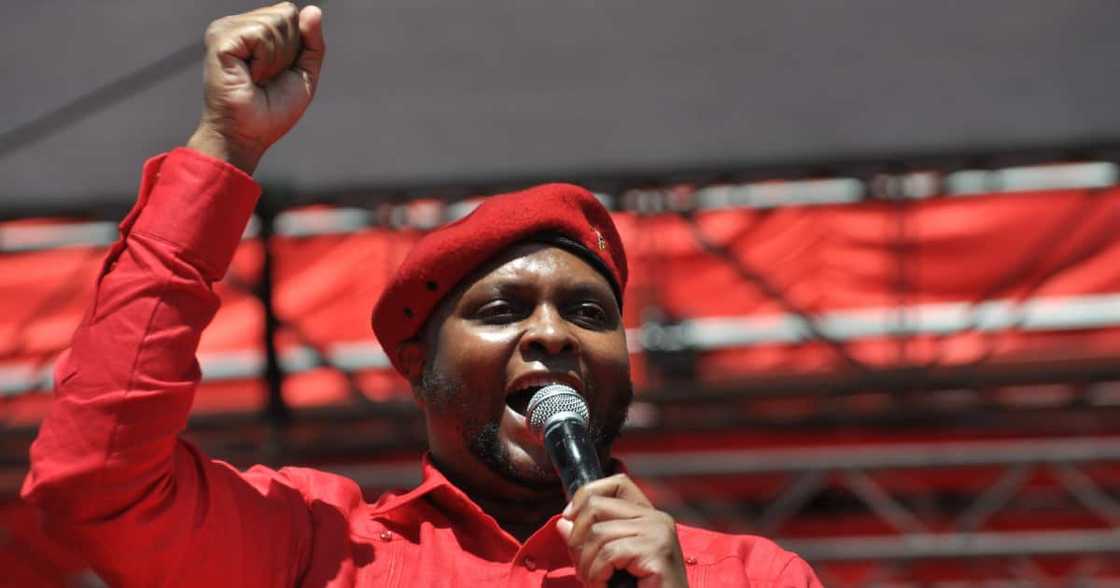 EFF, Floyd Shivambu, municipal elections, local government elections, election results EFF, Floyd Shivambu, municipal elections, local government elections, election results
