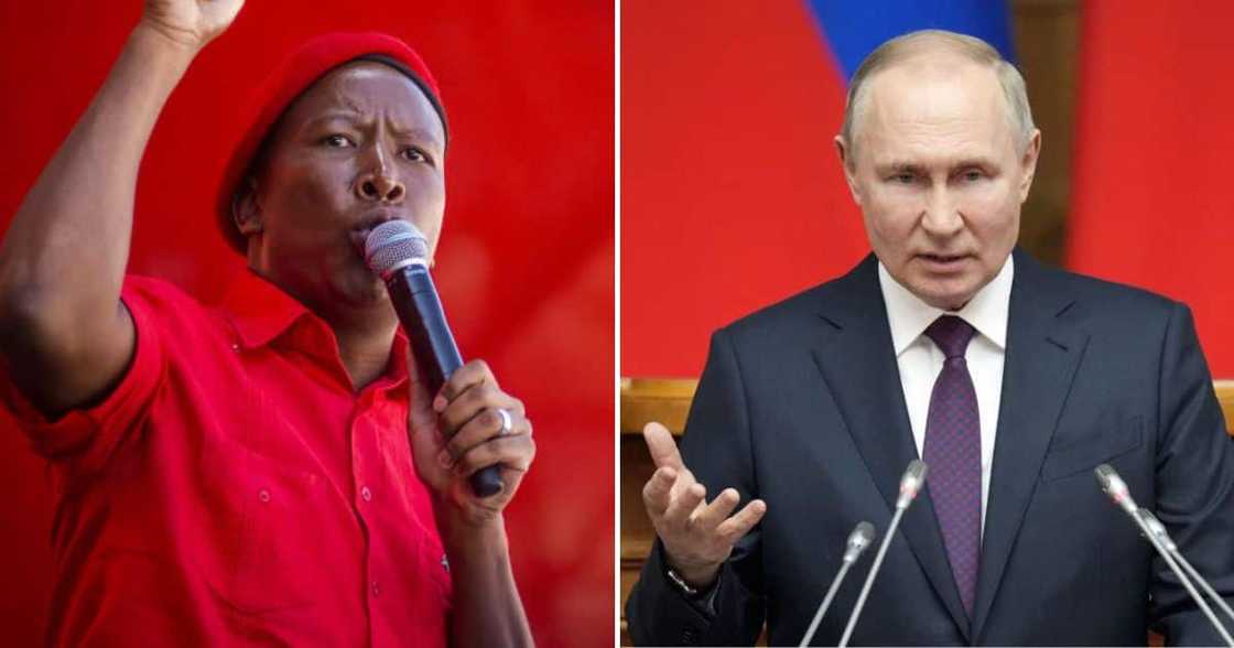 Malema said no one will arrest Putin in SA