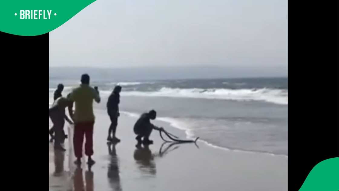 A clip went viral on Facebook. A clip went viral on Facebook.