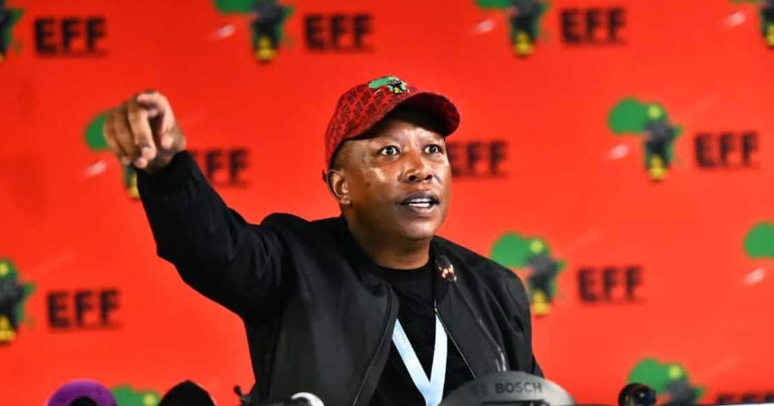 EFF, Land Expropriation without Compensations, LG2021, Politics EFF, Land Expropriation without Compensations, LG2021, Politics