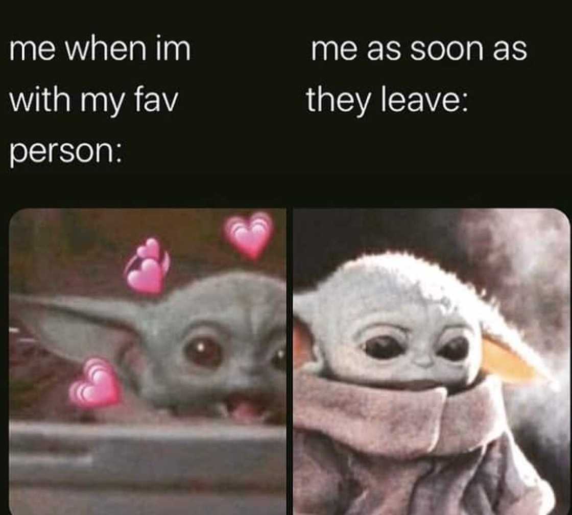 Memes Memes