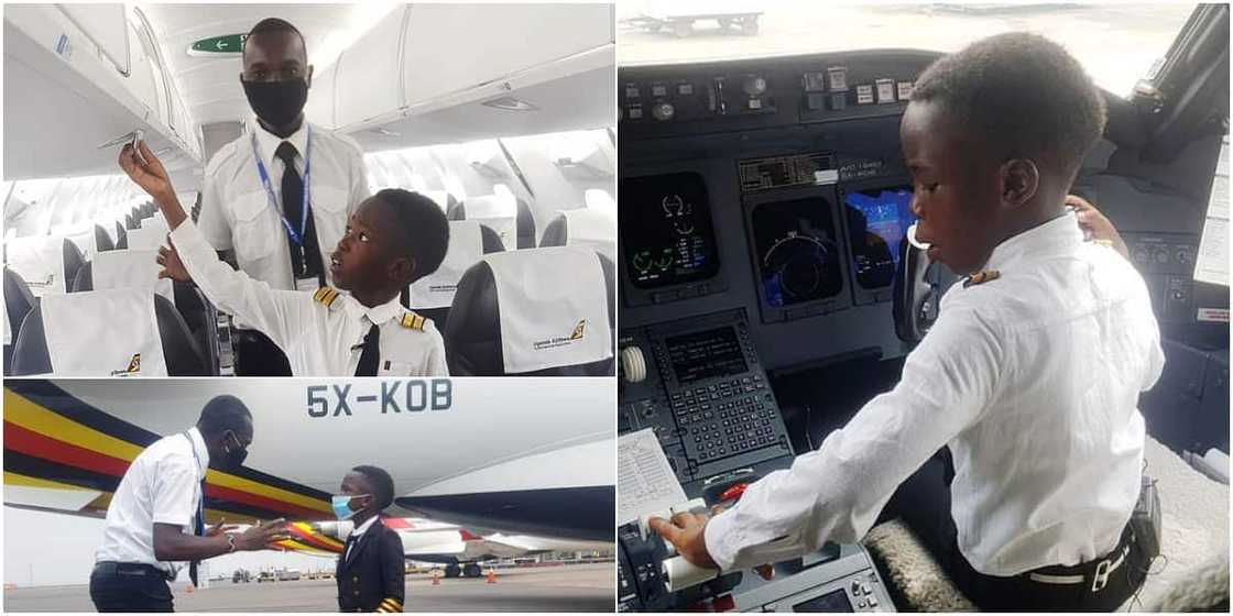 Graham Shema is a genius Graham Shema is a genius