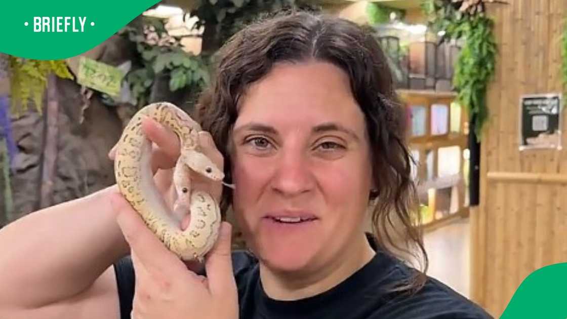 2 Headed snake in a zoo