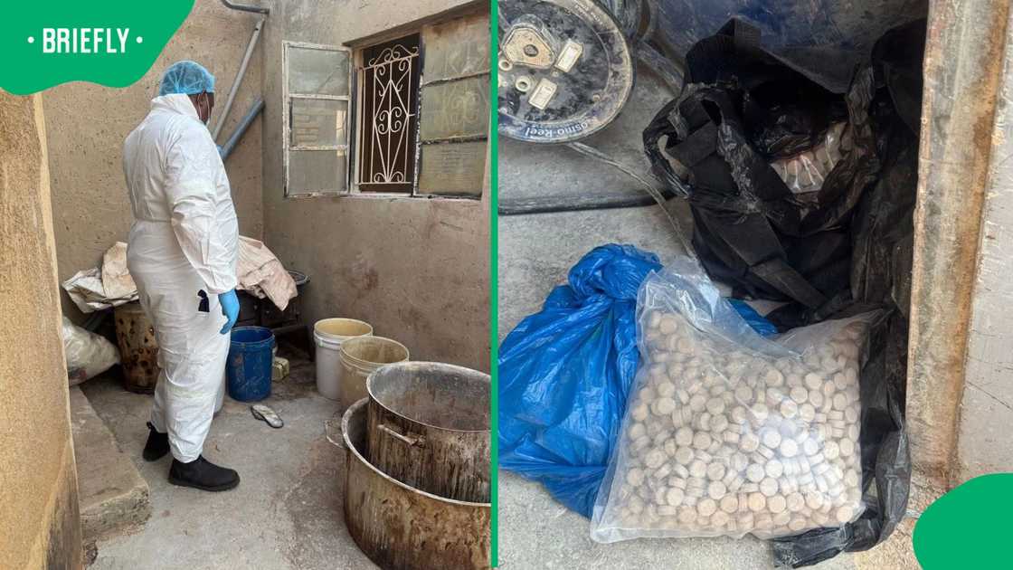 The South African Police Service (SAPS) uncovered a drug manufacturing lab in Soweto, Johannesburg The South African Police Service (SAPS) uncovered a drug manufacturing lab in Soweto, Johannesburg