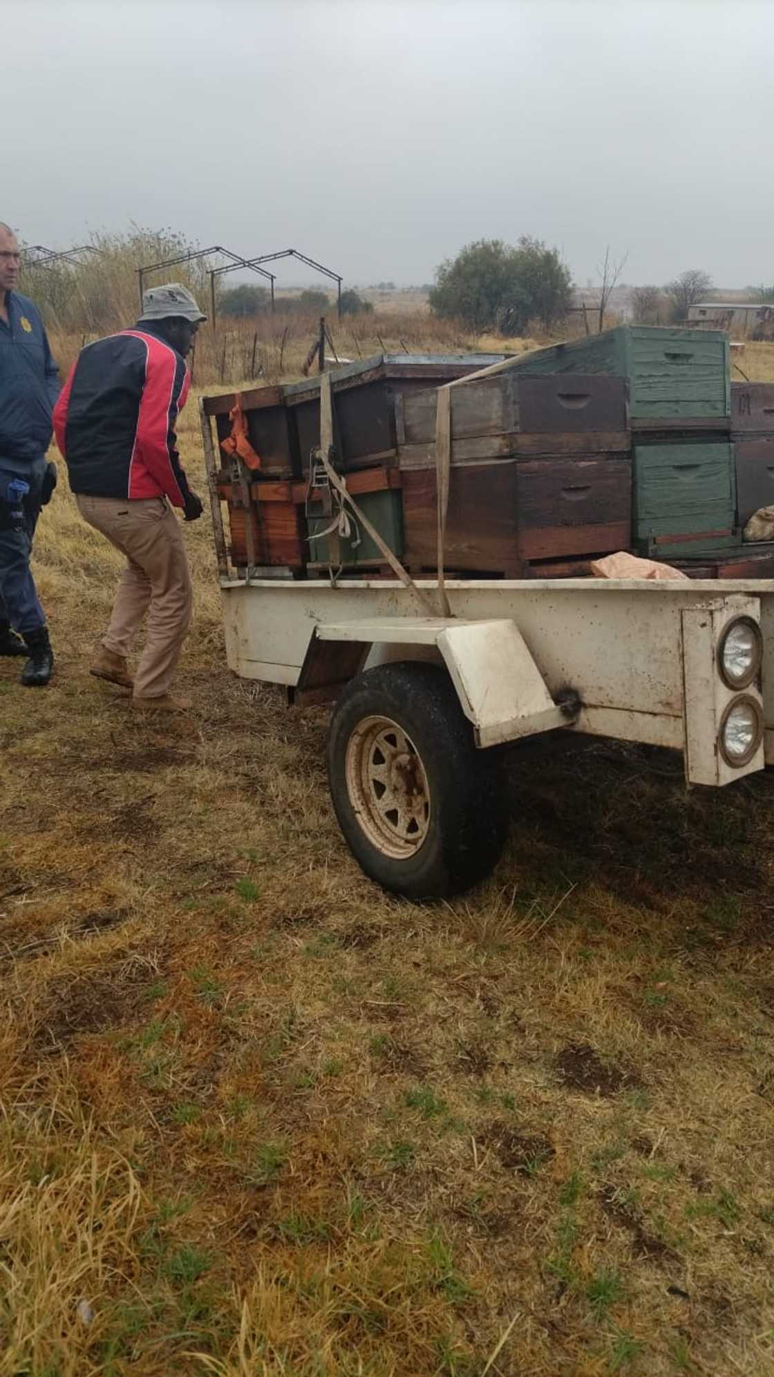 Bees hives were returned to previous owner in Lichtenburg Bees hives were returned to previous owner in Lichtenburg
