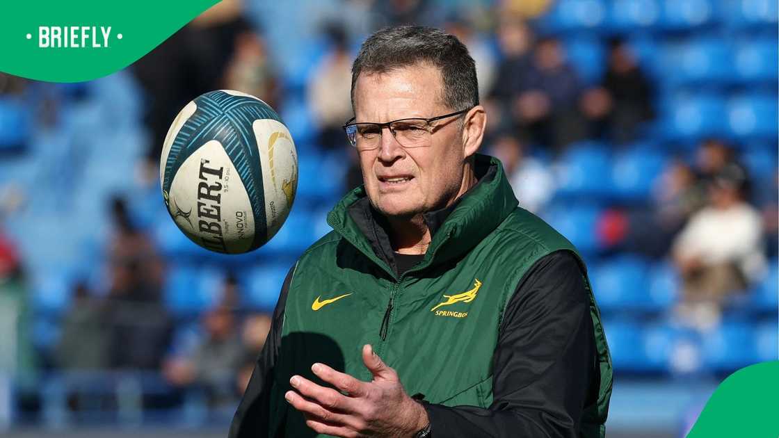 Leon Schuster apologises to Rassie Erasmus