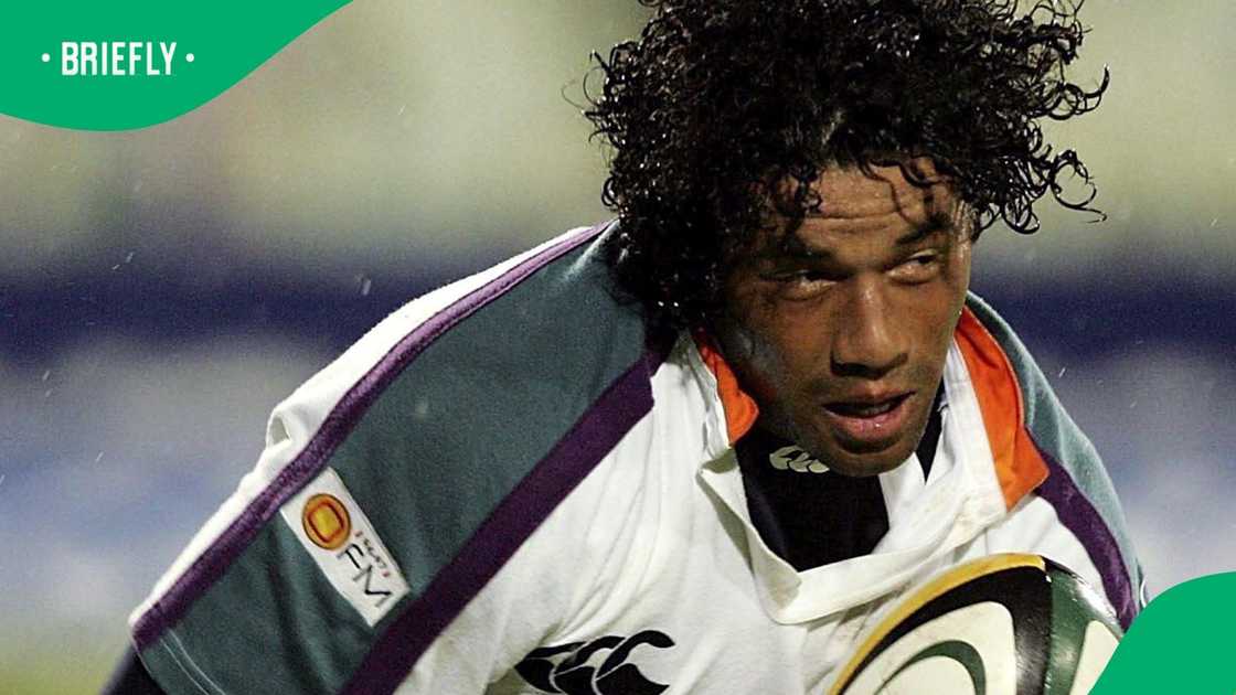 Springboks, Bevin Fortuin, Northam Rhinos