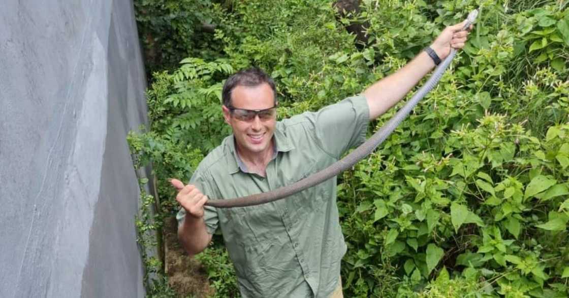 Nick Evans, Mozambique Spitting Cobras, Durban, Chatsworth Nick Evans, Mozambique Spitting Cobras, Durban, Chatsworth