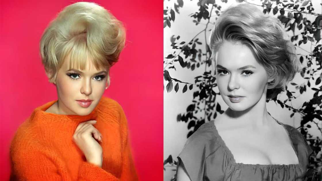 Joey Heatherton's parents Joey Heatherton's parents