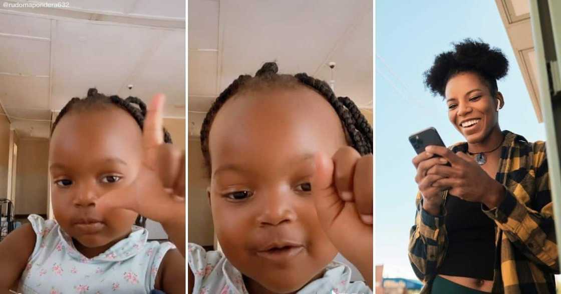 Little Girl, Zoom Challenge, Mzansi, TikTok Little Girl, Zoom Challenge, Mzansi, TikTok