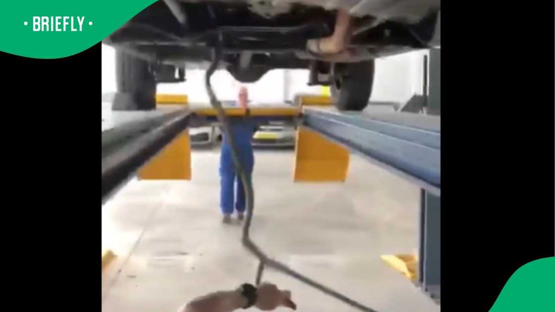 A video went viral on X. A video went viral on X.