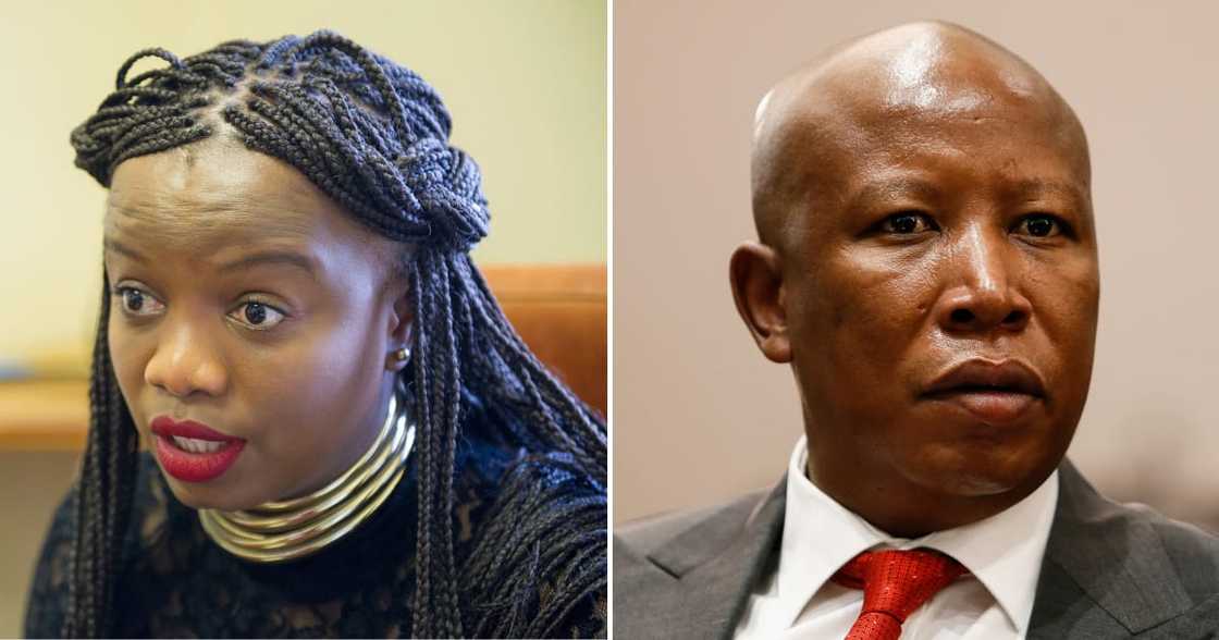 Phumzile Van Damme, Julius Malema, AfriForum, EFF, 'kill the boer' trial Phumzile Van Damme, Julius Malema, AfriForum, EFF, 'kill the boer' trial