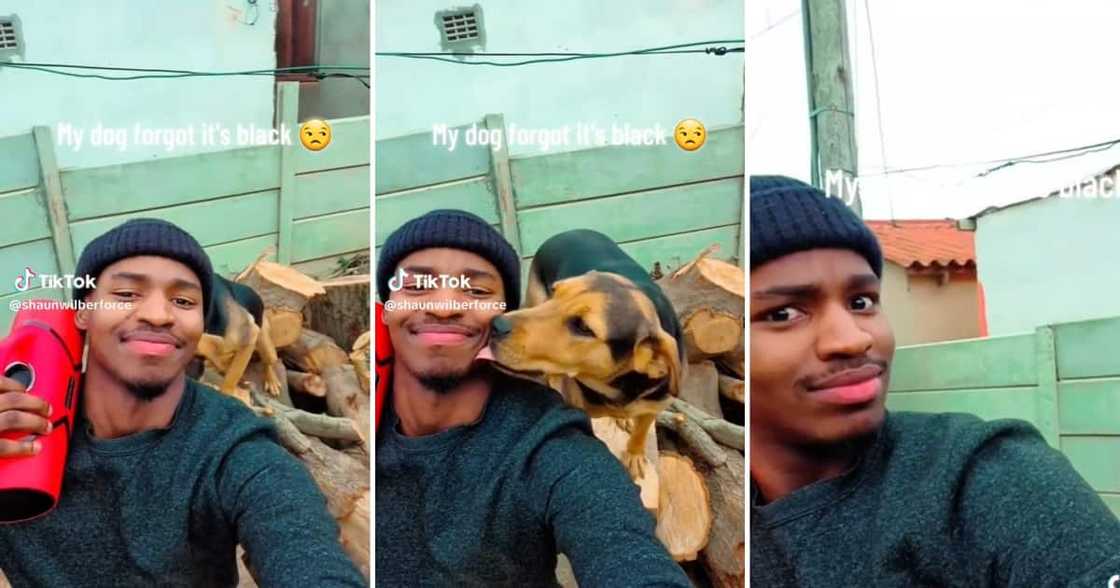 Black dog owner went crazy after his dog licked his face Black dog owner went crazy after his dog licked his face