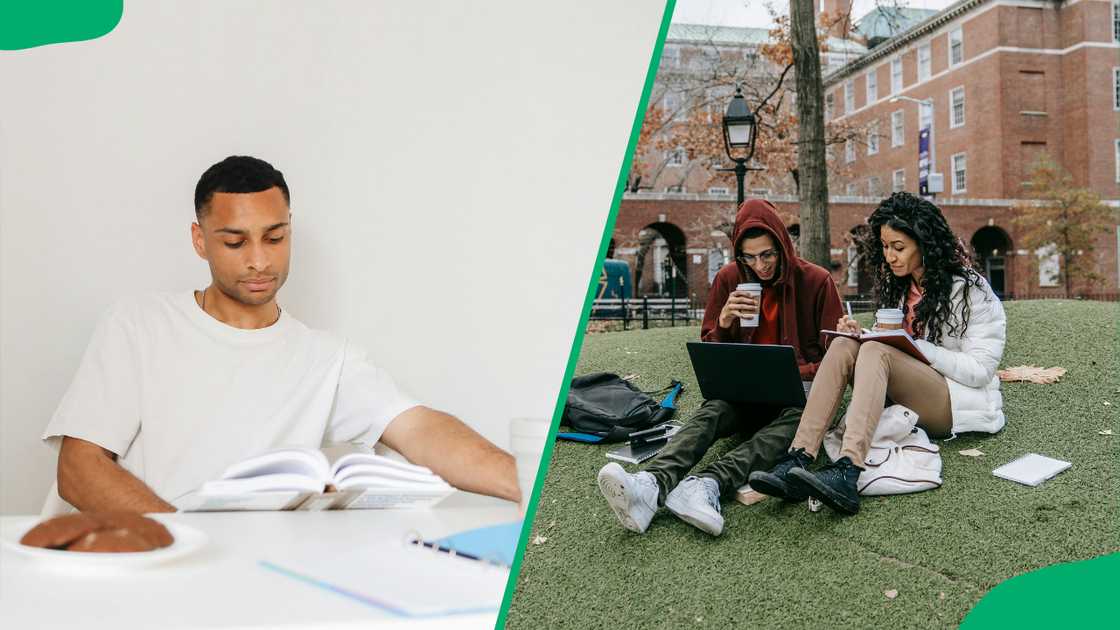 A male student studying. A male and female students in the field studying A male student studying. A male and female students in the field studying