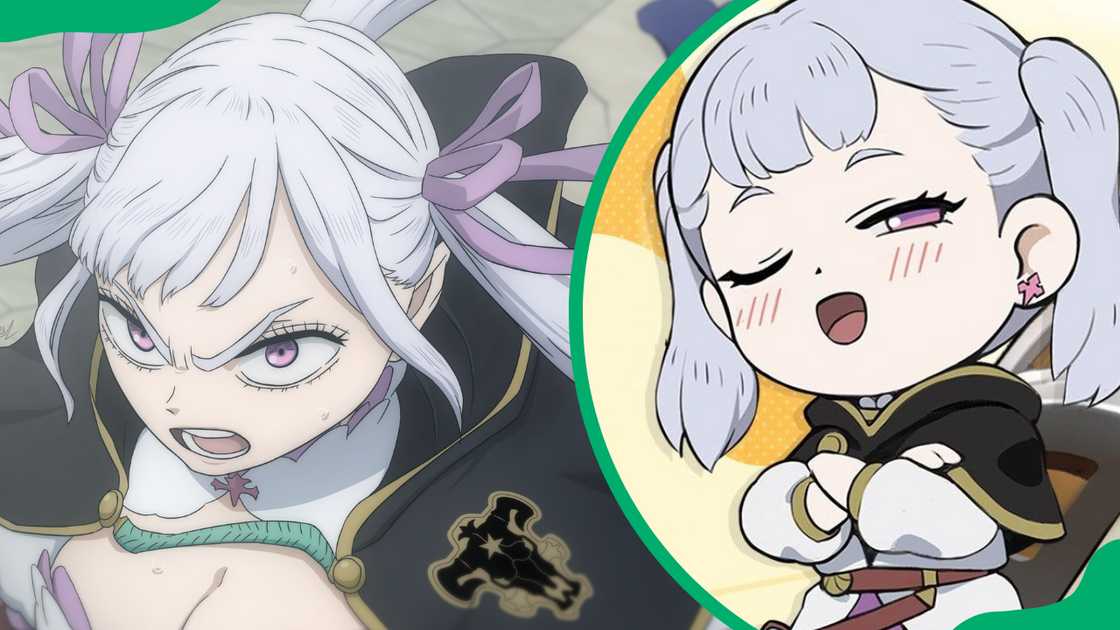Noelle Silva from Black Clover Noelle Silva from Black Clover