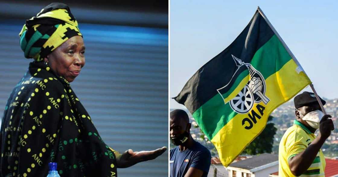 ANC NEC to discipline members who went against the party line ANC NEC to discipline members who went against the party line