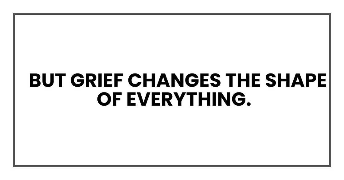 But grief changes the shape of everything. But grief changes the shape of everything.