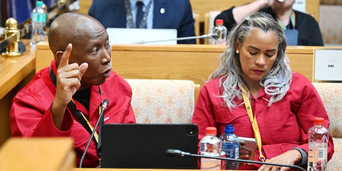 Julius Malema is a part of the Ad Hoc Committee Julius Malema is a part of the Ad Hoc Committee