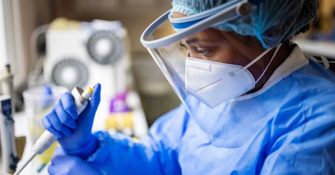 NICD, National Institute for Communicable Diseases, BA.2, Covid-19, coronavirus, Omicron, variant, mutation, South Africa, flu vaccine, vaccine NICD, National Institute for Communicable Diseases, BA.2, Covid-19, coronavirus, Omicron, variant, mutation, South Africa, flu vaccine, vaccine