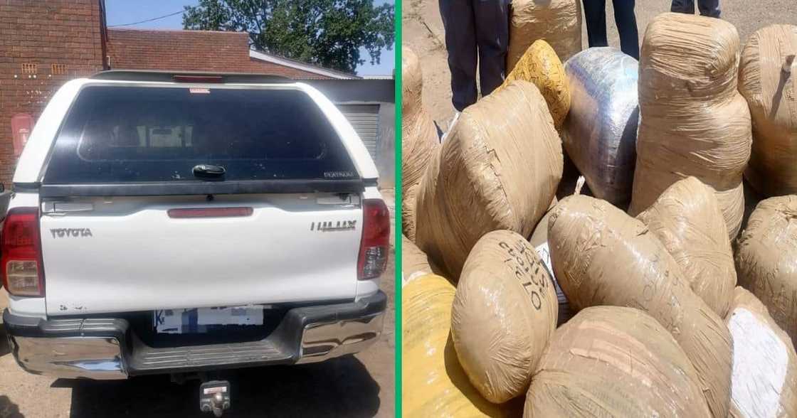 Collage image of a Toyota Hilux and bags of confiscated dagga Collage image of a Toyota Hilux and bags of confiscated dagga