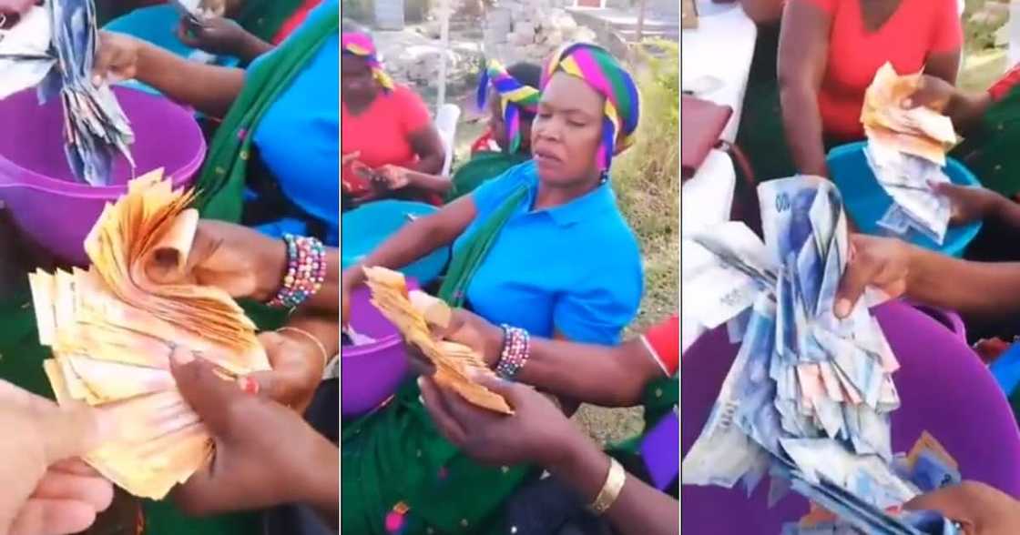 Group, Village, Giyani, Limpopo, Mzansi, Amount, Money, Video, Clip, Twitter, Stokvel, Mzansi Group, Village, Giyani, Limpopo, Mzansi, Amount, Money, Video, Clip, Twitter, Stokvel, Mzansi