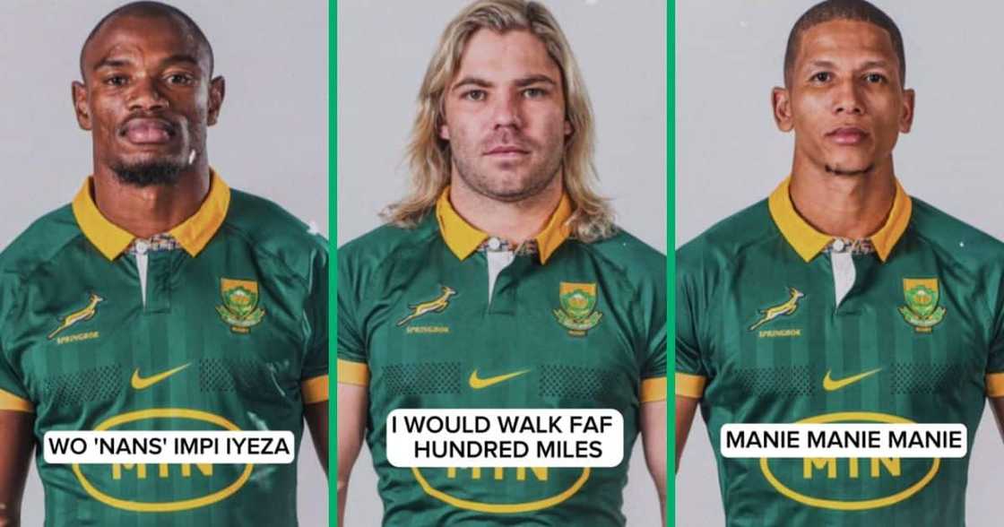 Video shows Springboks players names in compilation of songs